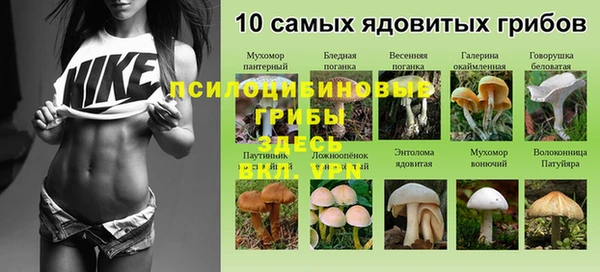МДПВ Абинск