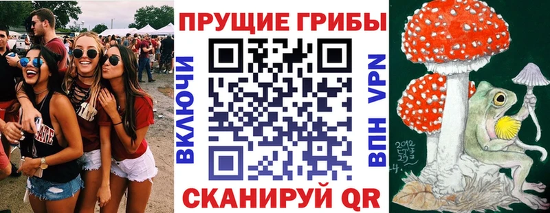 Галлюциногенные грибы прущие грибы  блэк спрут ссылки  Дербент 