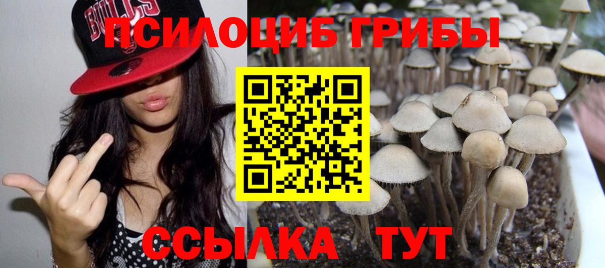 Галлюциногенные грибы GOLDEN TEACHER Дербент